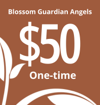 Blossom Angel Donation ($50 One-time)