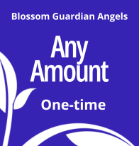 Blossom Angel Donation (Any amount One-time)