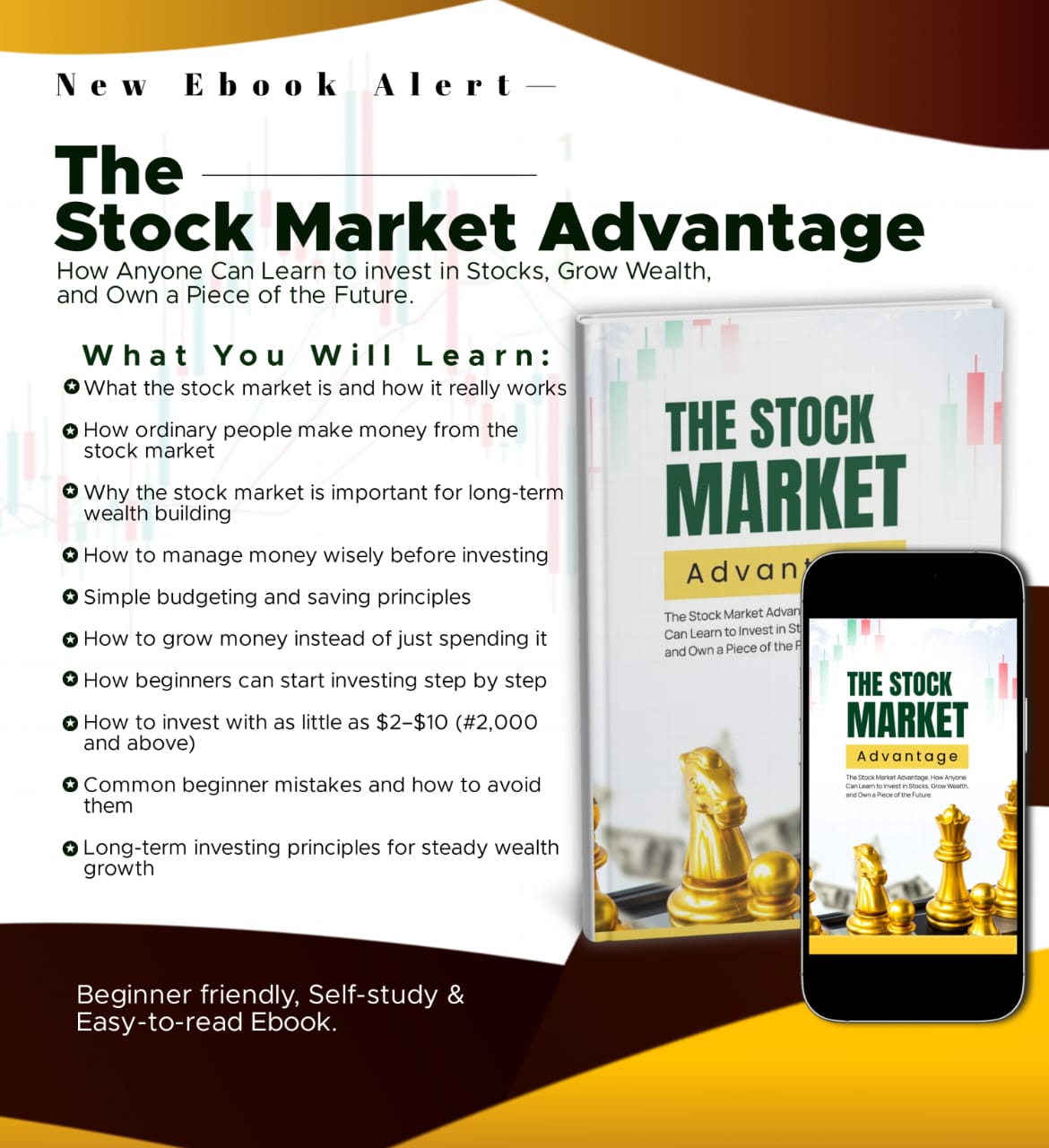A clear guide to understanding the stock market