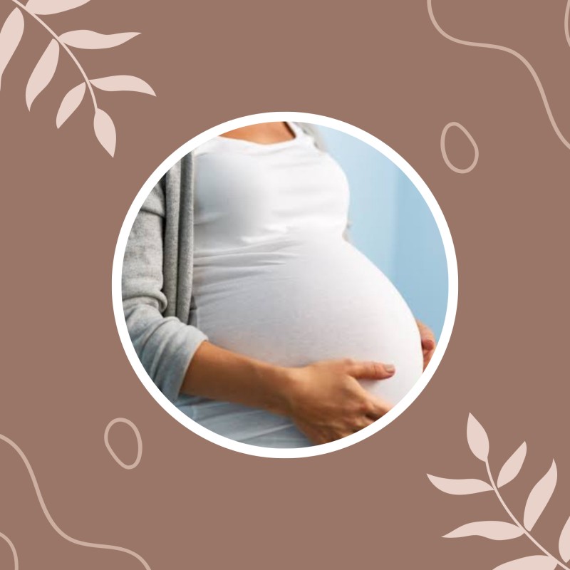 UNDERSTANDING FEMALE FERTILY