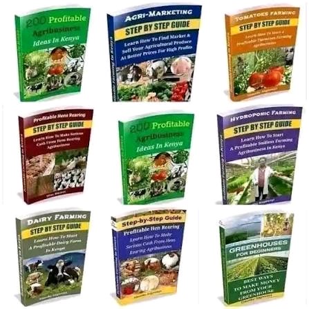 250 Agribusiness ideas in Africa