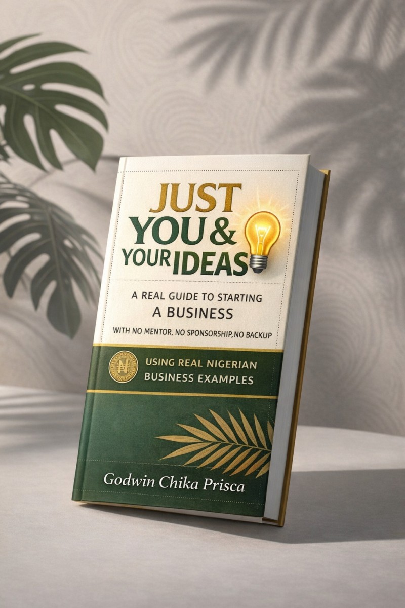 A real guide to starting a business with no mentor,no sponsorship no backup