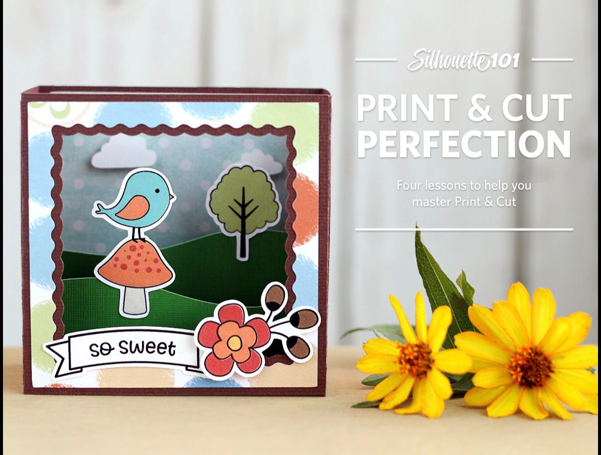 Print & Cut Perfection