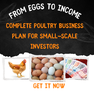 From Eggs to Income: Complete Poultry Business Plan for Small-Scale Investors
