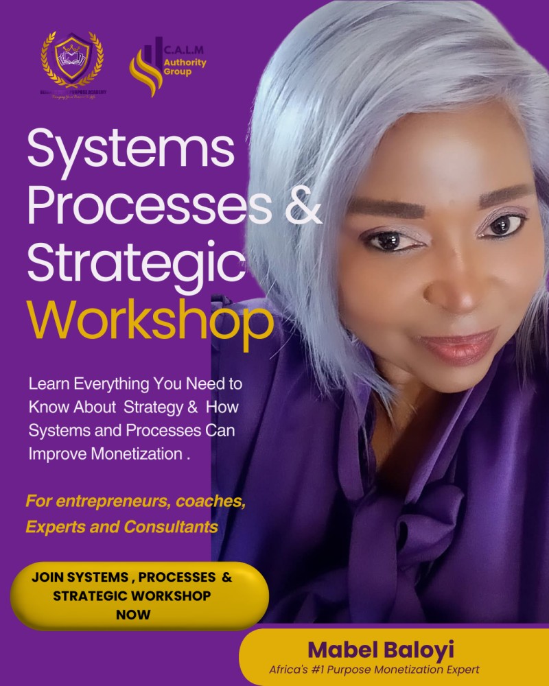 Systems , Processes & Strategic Workshop For Monetizers