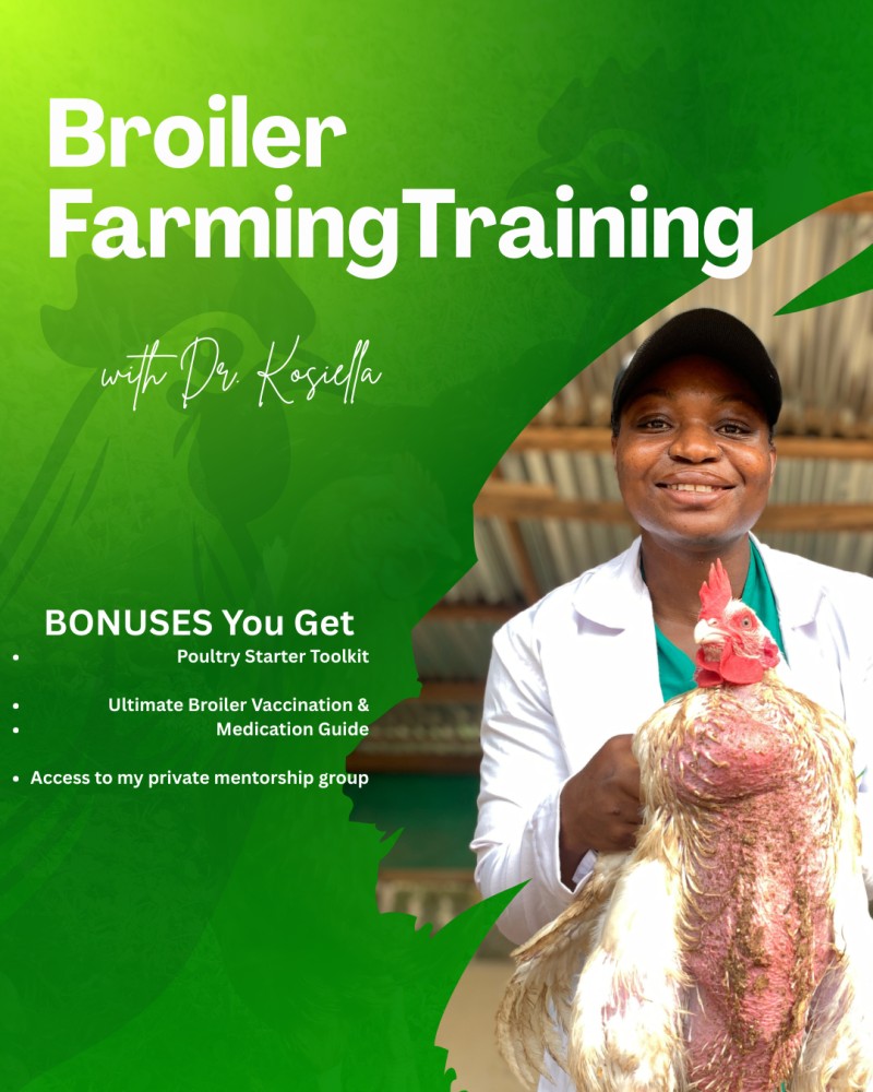 1-on-1 Broiler Farming Training with Dr. Kosiella
