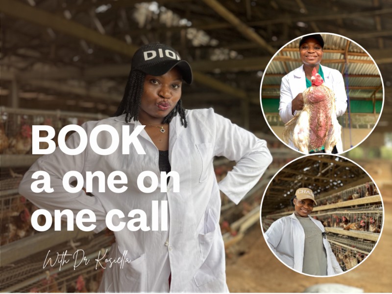 1-on-1 Poultry Farm Call with Dr. Kosiella