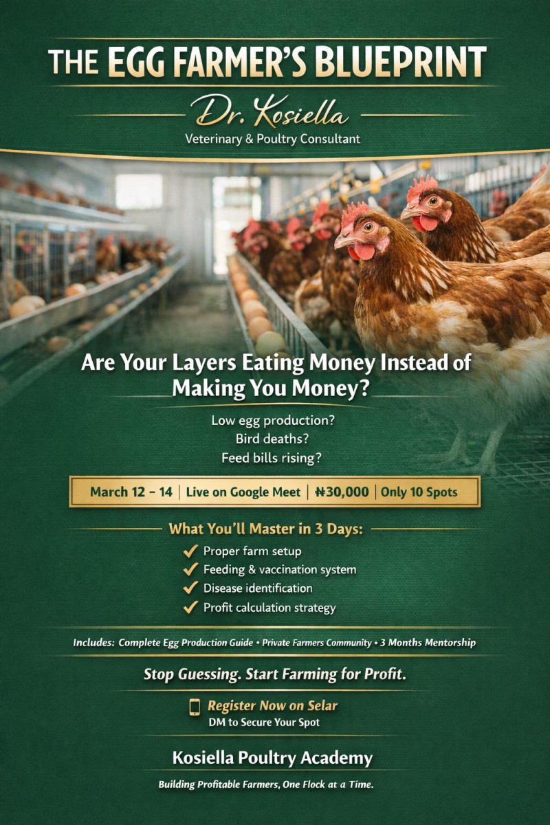 THE EGG FARMER'S BLUEPRINT: A 3-Day Intensive Layer Farming Training by Kosiella Poultry Academy