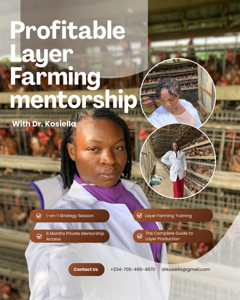 THE PROFITABLE LAYER FARMING TRAINING & MENTORSHIP with Dr. Kosiella