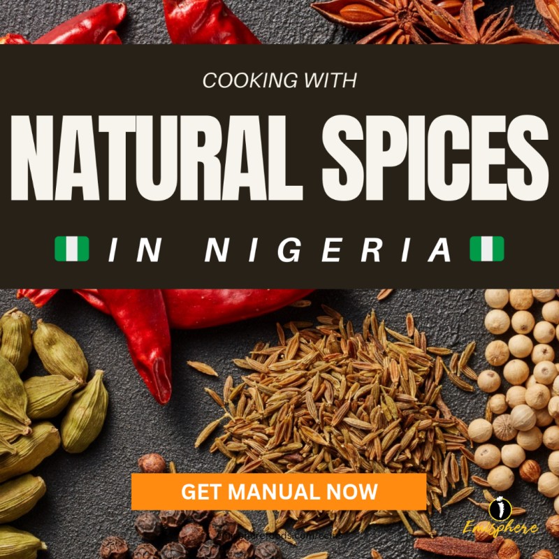 The Natural Spice Playbook - Chef Emi's Manual