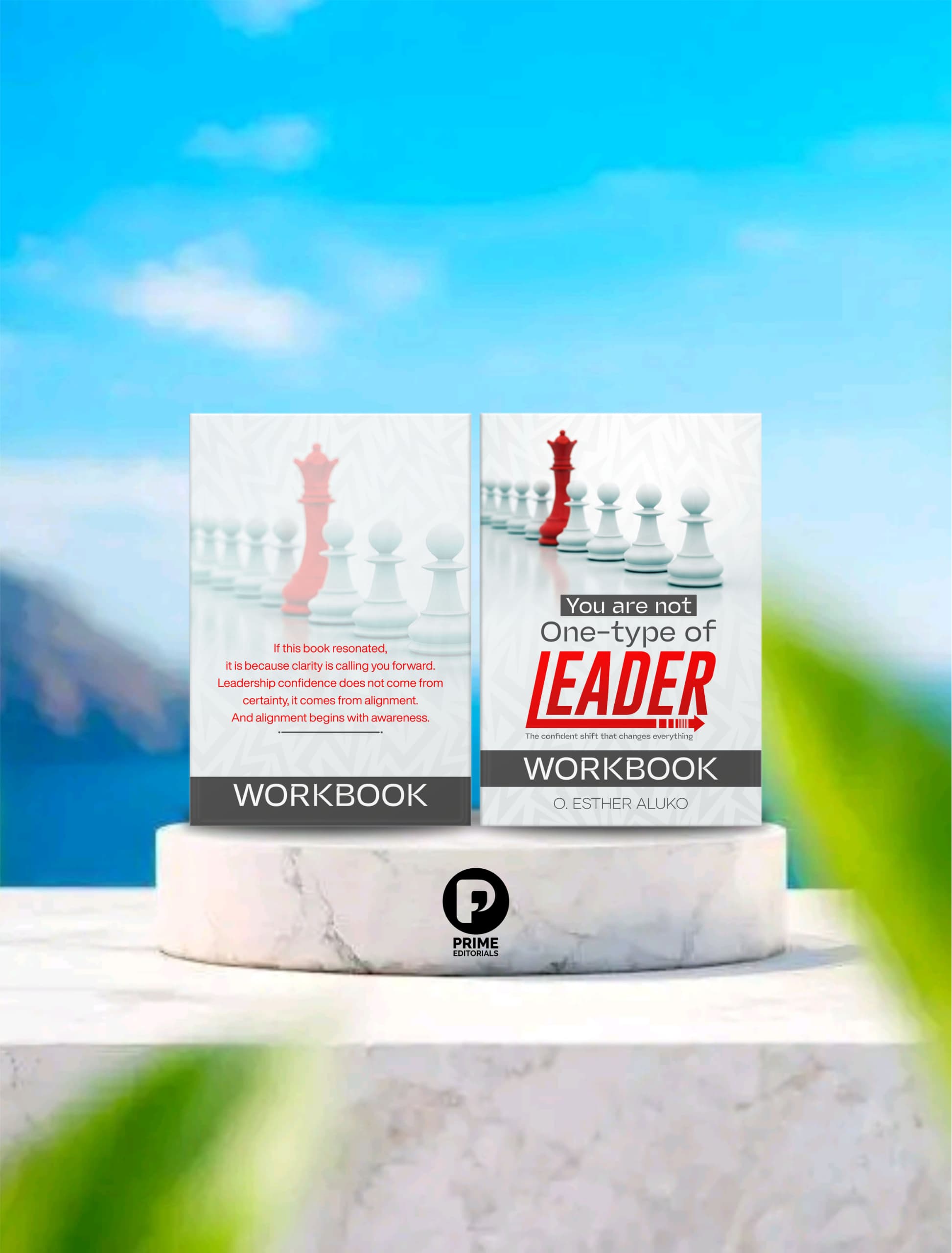 You Are Not One Type of Leader (WorkBook) O ESTHER ALUKO