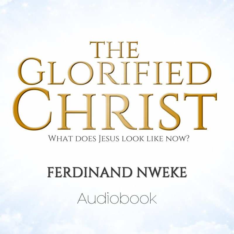 The Glorified Christ Audiobook
