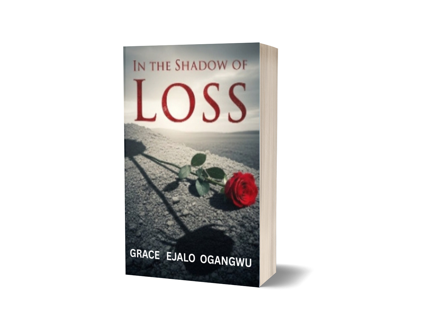 In The Shadow Of Loss