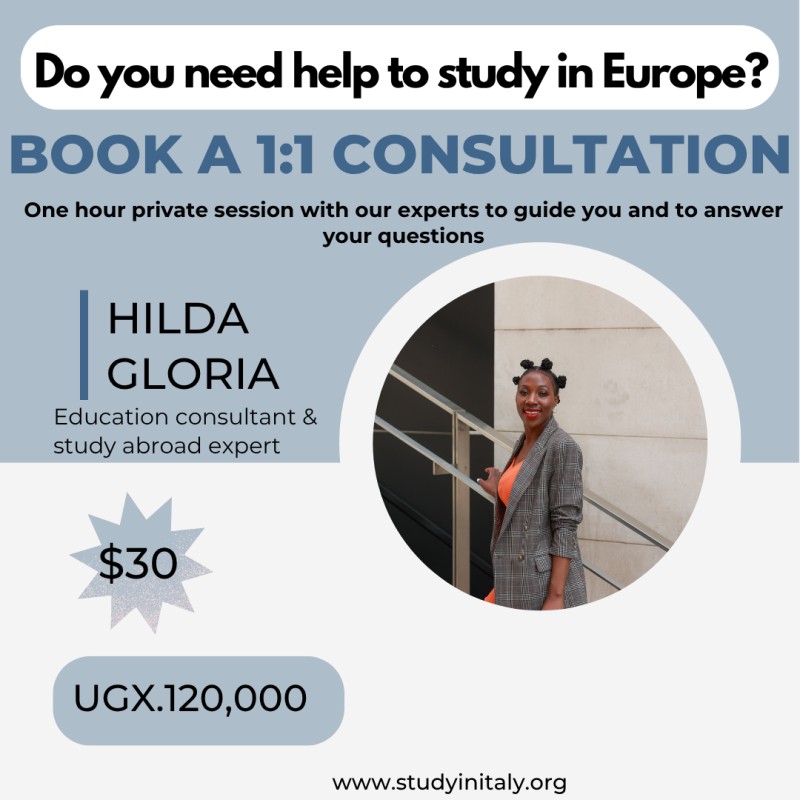 1:1 Study in Europe consultation