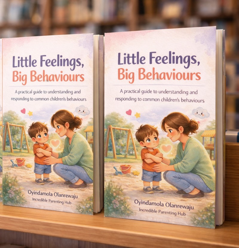 Little Feelings, Big Behaviours: A practical guide to understanding children's behaviours