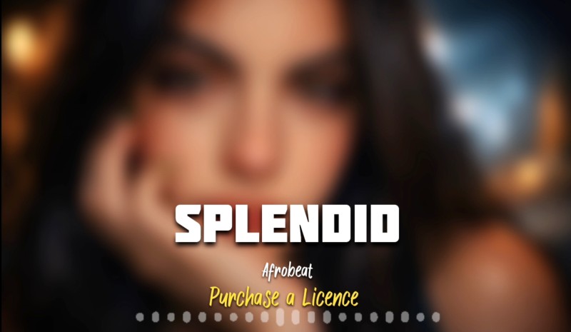 SPLENDID - (BASIC LICENSE)
