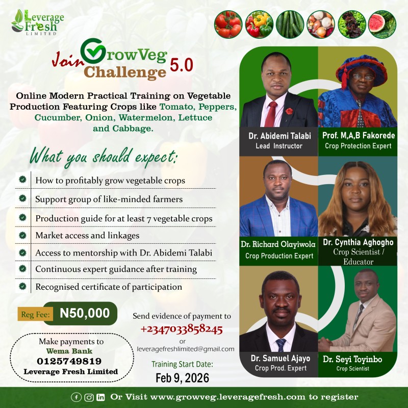 GrowVeg Challenge 5.0