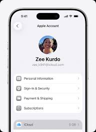 USA icloud/Apple account