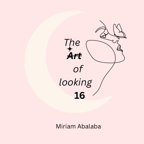 The Art of looking 16