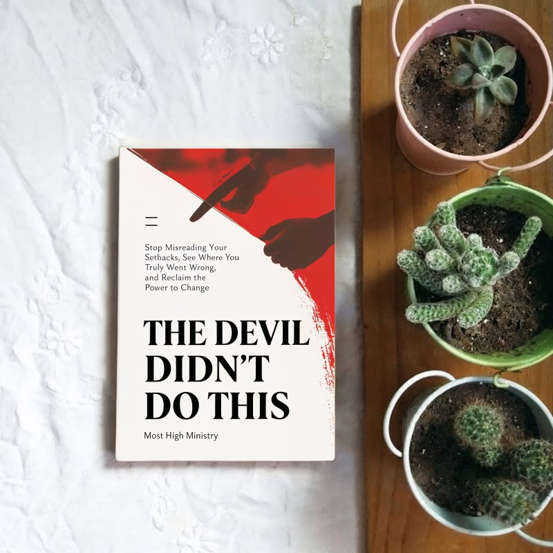 THE DEVIL DIDN'T DO THIS — Stop Misreading Your Setbacks, See Where You Truly Went Wrong, and Reclaim the Power to Change