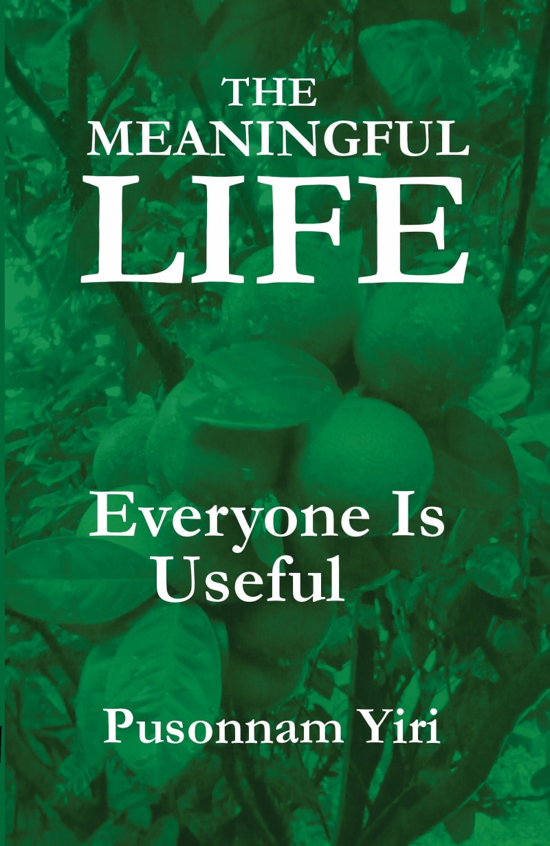 THE MEANINGFUL LIFE COURSE: A 30-Day Journey to Discover the Secrets of Life and Work Skills for Meaningful and Maximum Productivity