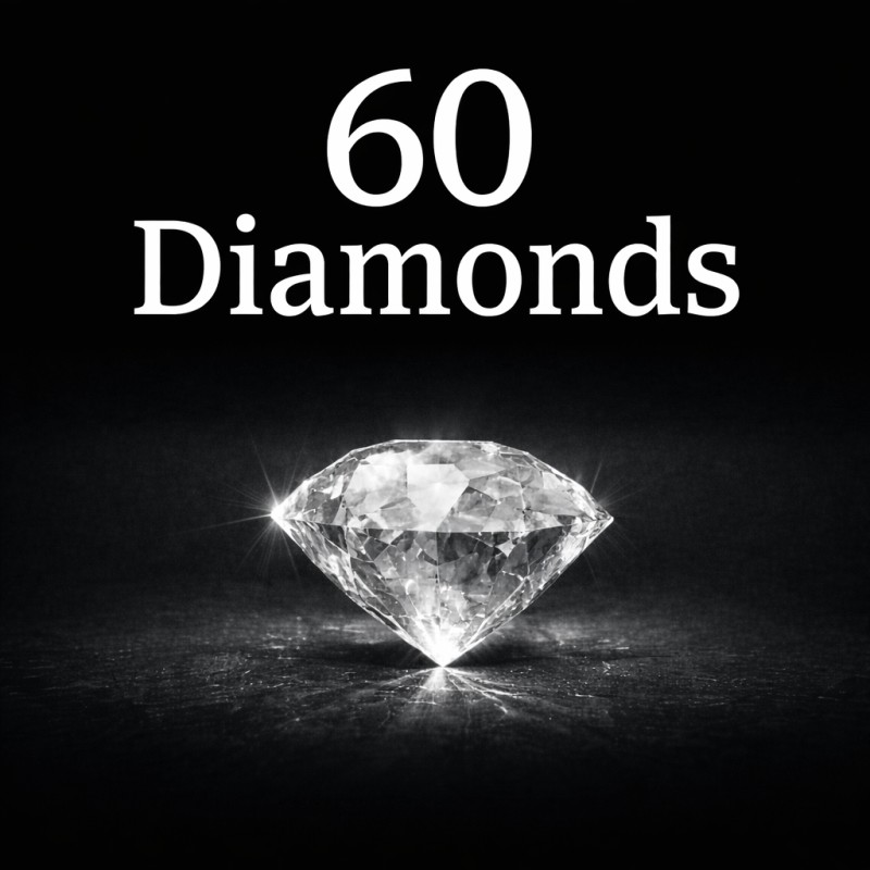 60 Diamonds : Lessons Time Would Not Allow Me To Skip
