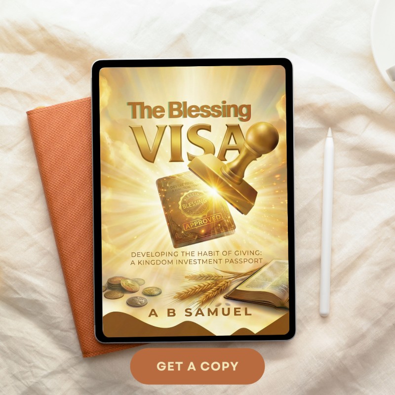 THE BLESSING VISA - Ebook