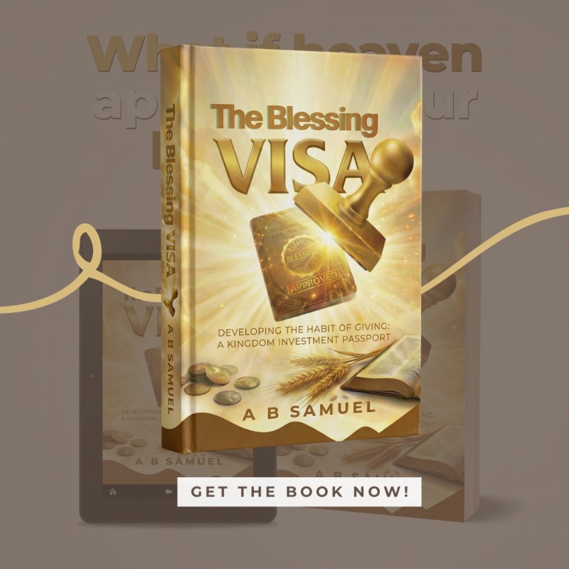 THE BLESSING VISA - Ebook