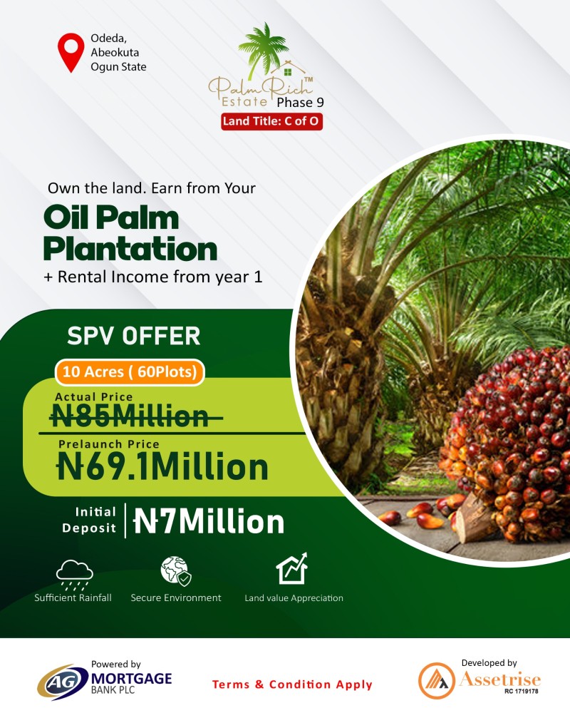How You Can Benefit From Oil Palm Profits