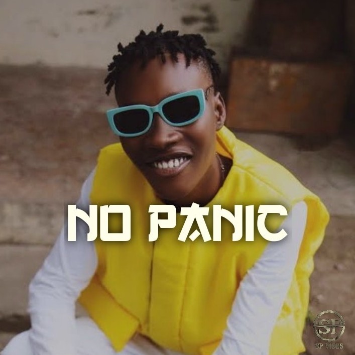 NO PANIC - Asake x Zinoleesky Type Beat 2026 – Viral Street Afrobeat Instrumental