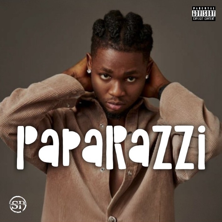 PAPARAZZI - Asake x Omah Lay Type Beat | Afrobeat Instrumental 2026