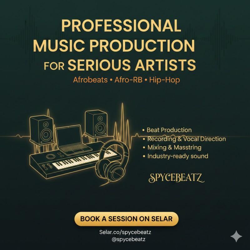 Professional Music Production - Spycebeatz