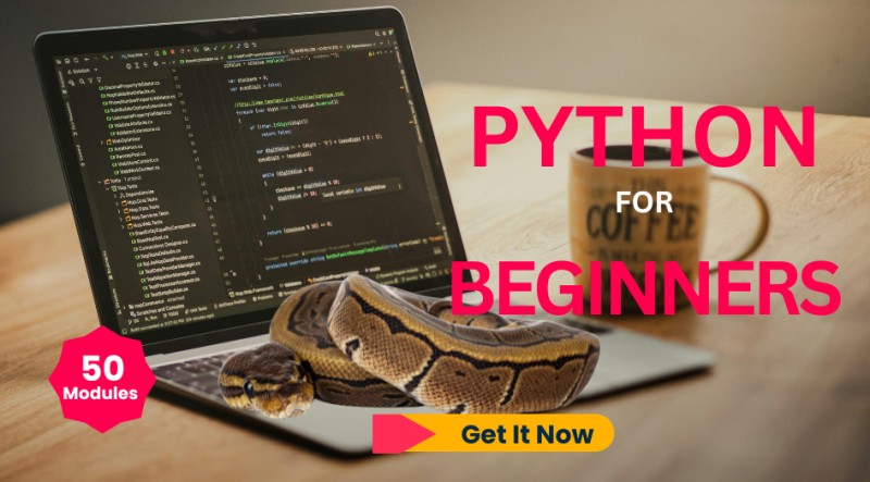 Python for Beginners