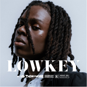 LOWKEY  | AFROBEATS MP3