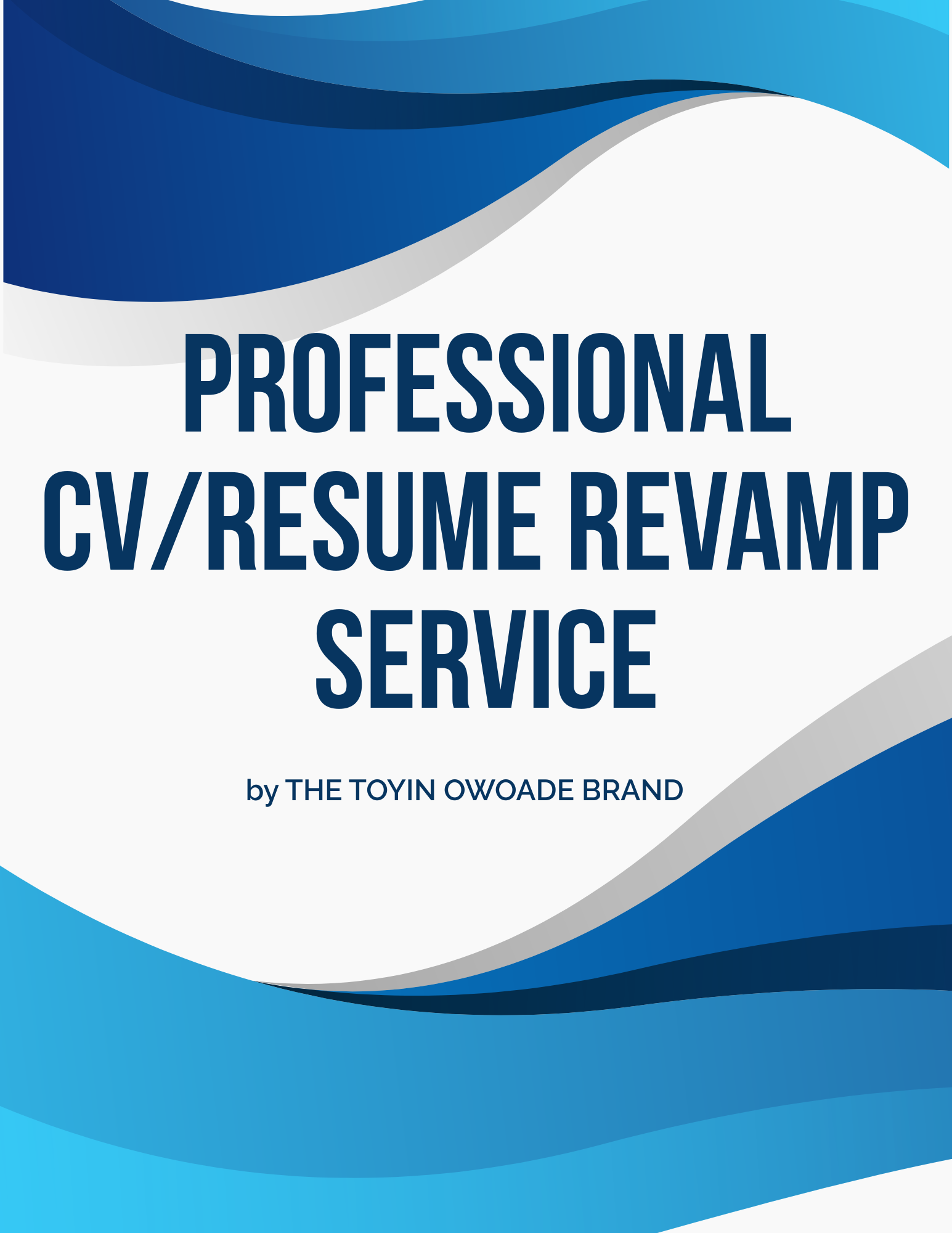 PROFESSIONAL CV/RESUME REVAMP