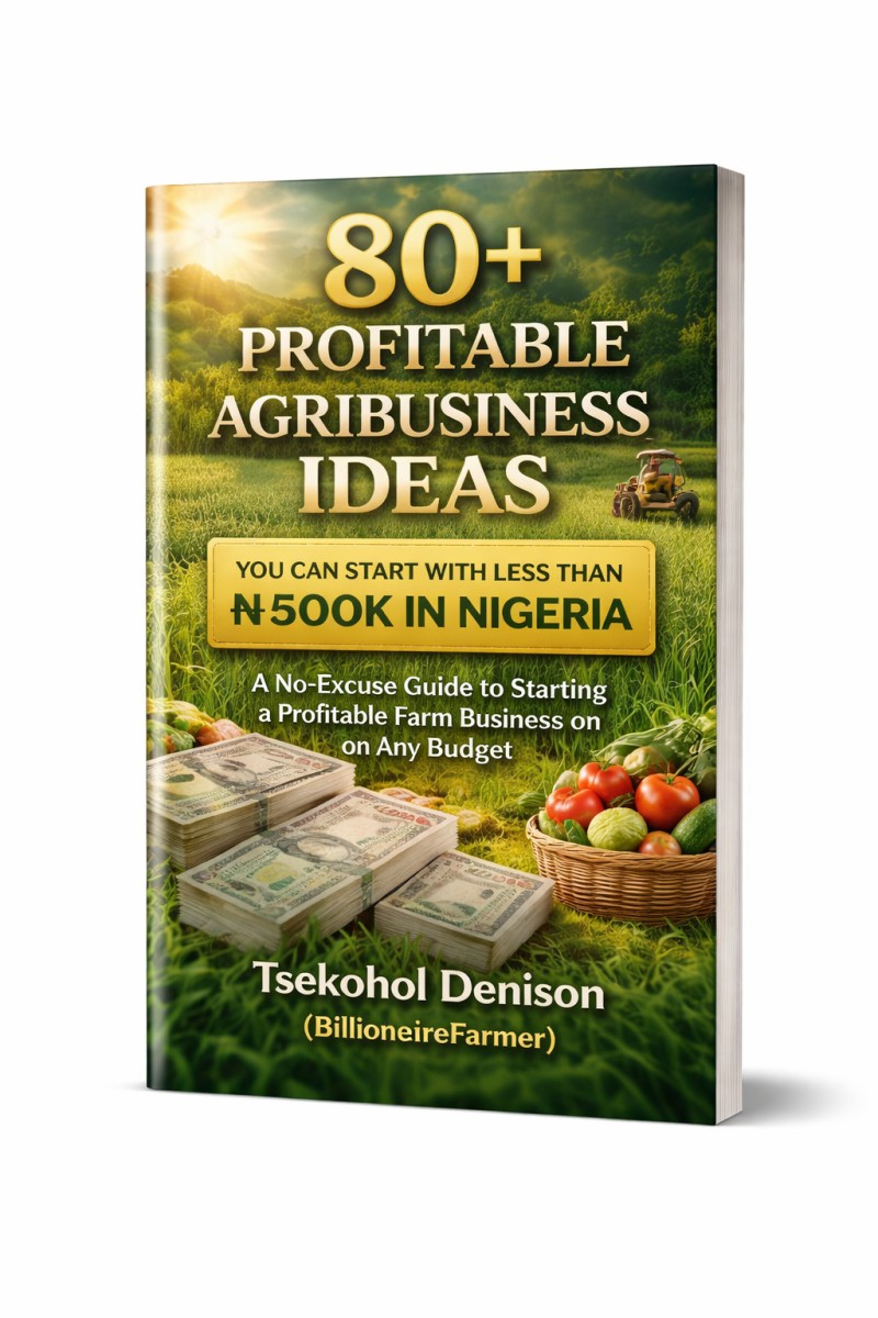 Buy 80+ Most Profitable Agribusiness Ideas: You Can Start With Less ...