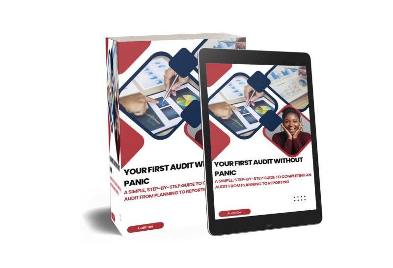 YOUR FIRST AUDIT WITHOUT PANIC