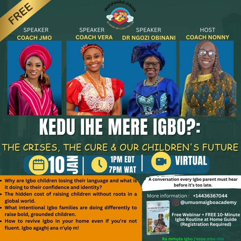Kedu Ihe Mere Igbo: The crises, the cure and our Children's future