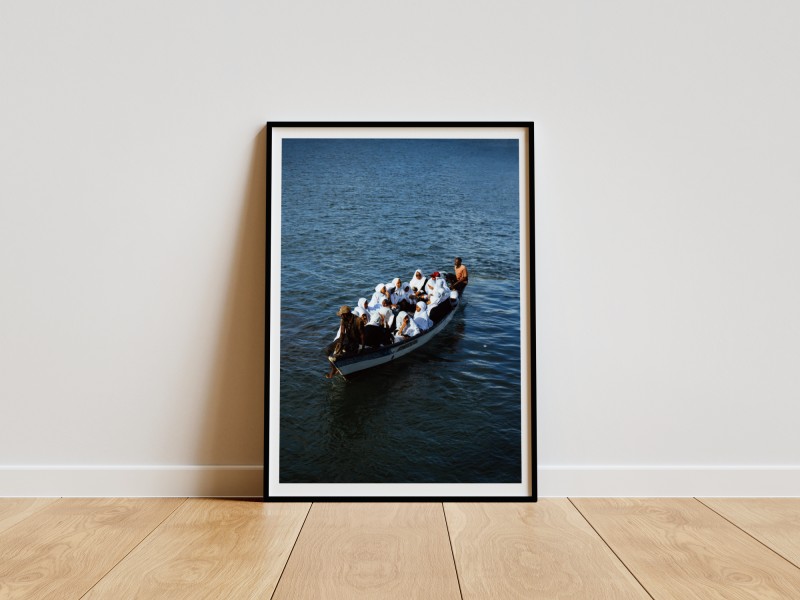 Safari (A2 glossy Print & Frame)