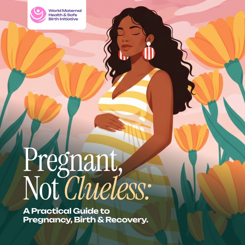 Pregnant, Not Clueless A Practical Guide to Pregnancy, Birth & Recovery