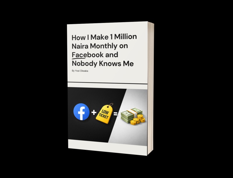 How I Make 1 million Naira a Month on Facebook and Nobody Knows Me