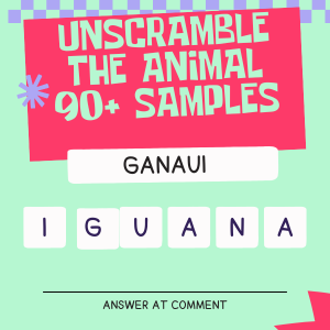 UNSCRAMBLE THE ANIMAL 90+ QUESTIONS (POWERPOINT)