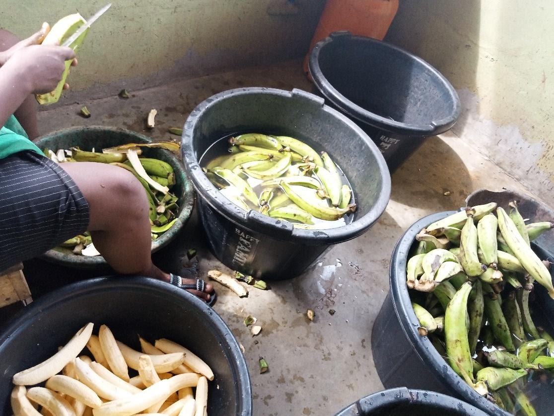 Buy How to Start A Successful Plantain Chips Production And Sales Business  For Beginners In Africa by Creative Digitalz on Selar.co