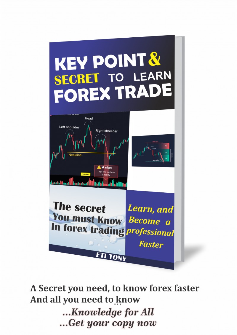 Buy KEY POINT AND SECRET TO LEARN FOREX TRADE by Etieno Anthony Etim on  Selar