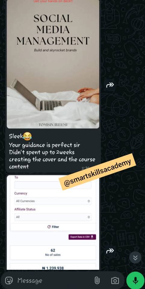 Buy Ultimate Digital Blueprint by Smart Skills Academy on Selar