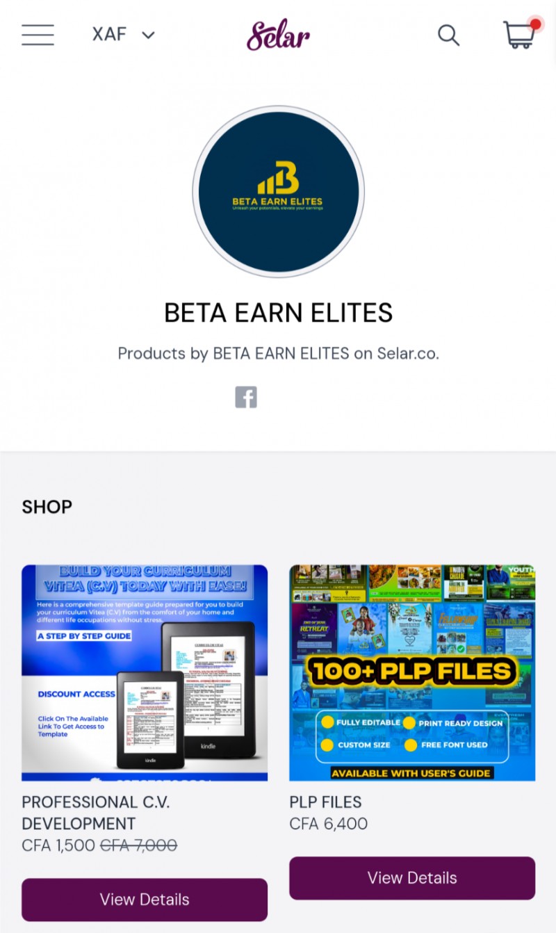 Buy THE ULTIMATE AFFILIATE MARKETING BLUEPRINT by BETA Graphix on Selar