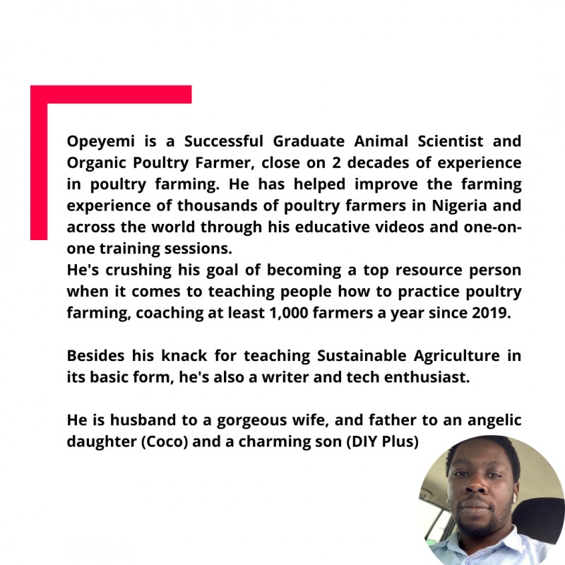 Buy RAISING BROILERS LIKE A PRO (THE TWO PROFIT MODELS) by DIY AGRIC CONSULT on Selar.co